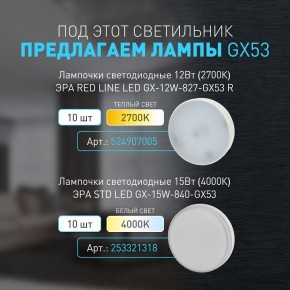 Накладной светильник Эра WL40 BK Б0054414 в Пуровске - purovsk.ok-mebel.com | фото 4