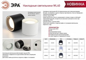 Накладной светильник Эра WL40 GR Б0054416 в Пуровске - purovsk.ok-mebel.com | фото 3