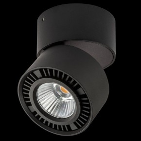 Накладной светильник Lightstar Forte Muro 214817 в Пуровске - purovsk.ok-mebel.com | фото 2