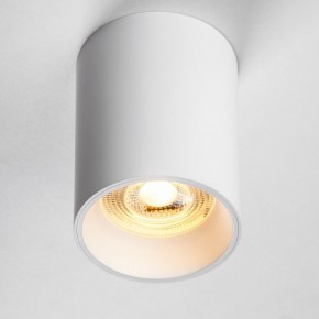 Накладной светильник Lightstar Rullo 213436 в Пуровске - purovsk.ok-mebel.com | фото 2