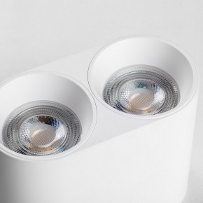 Накладной светильник Lightstar Rullo 213466 в Пуровске - purovsk.ok-mebel.com | фото 6