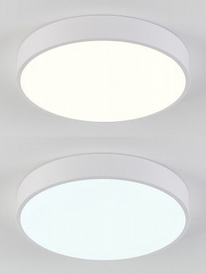 Накладной светильник Natali Kovaltseva  LED LAMPS 81111/5C в Пуровске - purovsk.ok-mebel.com | фото 4