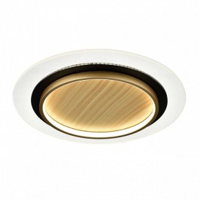 Накладной светильник Sonex Sunny 7731/80L в Пуровске - purovsk.ok-mebel.com | фото 4