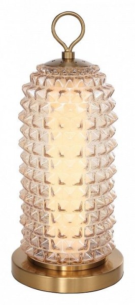 Настольная лампа декоративная ST-Luce SAGUARO SL6144.304.01 в Пуровске - purovsk.ok-mebel.com | фото 2