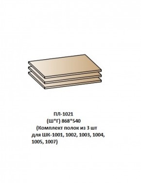 ПЛ-1021 (Комплект полок из 3 шт для ШК-1001, 1002, 1003, 1004, 1005, 1007) в Пуровске - purovsk.ok-mebel.com | фото