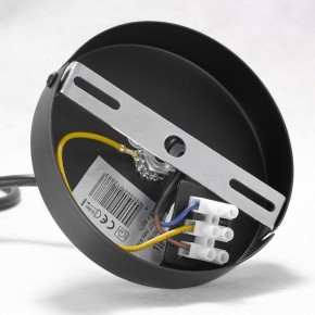 Подвесная люстра Lussole Kenner GRLSP-8271 в Пуровске - purovsk.ok-mebel.com | фото 7