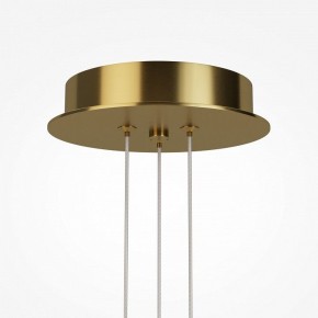 Подвесная люстра Maytoni Arana MOD401PL-L108BS3K в Пуровске - purovsk.ok-mebel.com | фото 7