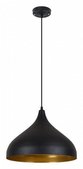 Подвесной светильник Arte Lamp Carmel A7076SP-1BK в Пуровске - purovsk.ok-mebel.com | фото 2
