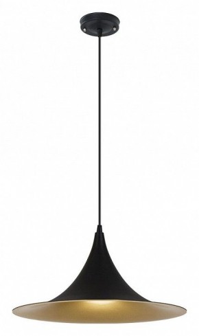 Подвесной светильник Arte Lamp Carmel A7080SP-1BK в Пуровске - purovsk.ok-mebel.com | фото 2