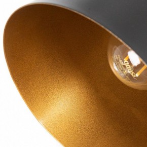 Подвесной светильник Arte Lamp Thomas A7032SP-1BK в Пуровске - purovsk.ok-mebel.com | фото 5