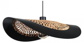 Подвесной светильник Arte Lamp Woodstock A7059SP-1BK в Пуровске - purovsk.ok-mebel.com | фото