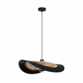 Подвесной светильник Arte Lamp Woodstock A7059SP-1BK в Пуровске - purovsk.ok-mebel.com | фото 2
