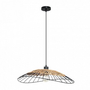 Подвесной светильник Arte Lamp Woodstock A7061SP-1BK в Пуровске - purovsk.ok-mebel.com | фото 2