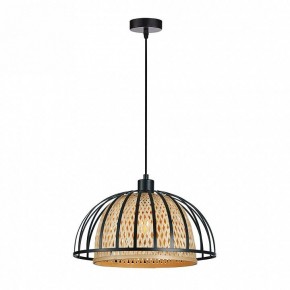 Подвесной светильник Arte Lamp Woodstock A7071SP-1BK в Пуровске - purovsk.ok-mebel.com | фото