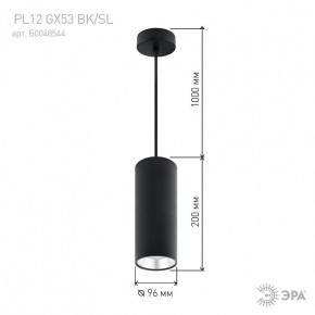 Подвесной светильник Эра  PL12 GX53 BK/SL в Пуровске - purovsk.ok-mebel.com | фото 8