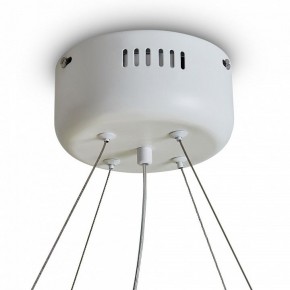 Подвесной светильник Freya Rain FR5546PL-L60W в Пуровске - purovsk.ok-mebel.com | фото 9