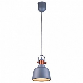 Подвесной светильник Lucia Tucci Industrial INDUSTRIAL 1820.1 SAND SILVER в Пуровске - purovsk.ok-mebel.com | фото 2