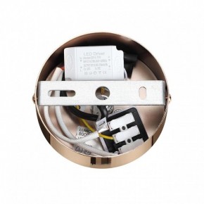 Подвесной светильник Lumion Cristie 8009/6L в Пуровске - purovsk.ok-mebel.com | фото 6