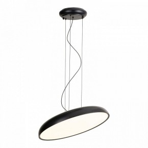 Подвесной светильник Lussole Crook LSP-7360 в Пуровске - purovsk.ok-mebel.com | фото 2