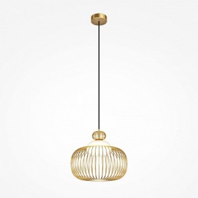Подвесной светильник Maytoni Levitation MOD376PL-01G в Пуровске - purovsk.ok-mebel.com | фото 2