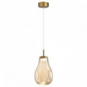 Подвесной светильник Odeon Light Nave 5098/4L в Пуровске - purovsk.ok-mebel.com | фото 2