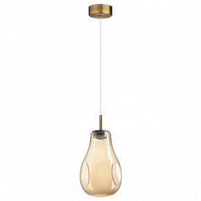 Подвесной светильник Odeon Light Nave 5098/4L в Пуровске - purovsk.ok-mebel.com | фото 4
