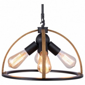 Подвесной светильник TopLight Jasmin TL1179H-04BK в Пуровске - purovsk.ok-mebel.com | фото