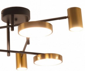 Потолочная люстра Kink Light Рапис 07645-6D,19(20) в Пуровске - purovsk.ok-mebel.com | фото 2