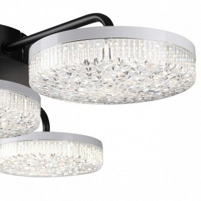 Потолочная люстра Lumion Didana 8236/4CL в Пуровске - purovsk.ok-mebel.com | фото 7