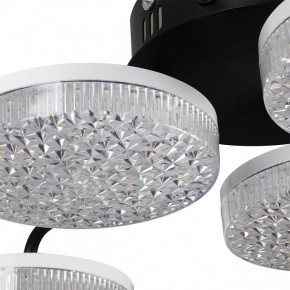 Потолочная люстра Lumion Didana 8236/6CL в Пуровске - purovsk.ok-mebel.com | фото 10