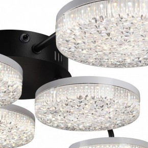 Потолочная люстра Lumion Didana 8236/6CL в Пуровске - purovsk.ok-mebel.com | фото 9