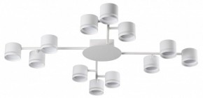Потолочная люстра Lumion Gareta 8235/12C в Пуровске - purovsk.ok-mebel.com | фото