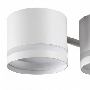 Потолочная люстра Lumion Gareta 8235/6C в Пуровске - purovsk.ok-mebel.com | фото 7