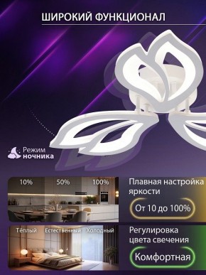 Потолочная люстра Natali Kovaltseva FORTUNA LED LAMPS 81107/2C в Пуровске - purovsk.ok-mebel.com | фото 5