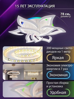 Потолочная люстра Natali Kovaltseva OLIMP LED LAMPS 81435 в Пуровске - purovsk.ok-mebel.com | фото 5
