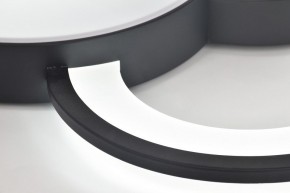 Потолочная люстра Rivoli Aliona Б0066452 в Пуровске - purovsk.ok-mebel.com | фото 10