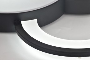 Потолочная люстра Rivoli Aliona Б0066452 в Пуровске - purovsk.ok-mebel.com | фото 12