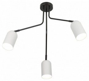 Потолочная люстра Rivoli Rosalinda Б0064987 в Пуровске - purovsk.ok-mebel.com | фото 4