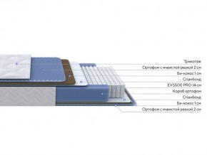 PROxSON Матрас Active Comfort M (Ткань Трикотаж Эко) 120x200 в Пуровске - purovsk.ok-mebel.com | фото 2