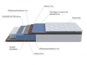 PROxSON Матрас Active Duo M/F (Ткань Трикотаж Эко) 120x190 в Пуровске - purovsk.ok-mebel.com | фото 6