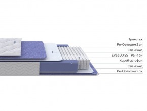 PROxSON Матрас Active F (Ткань Трикотаж Эко) 80x200 в Пуровске - purovsk.ok-mebel.com | фото 2