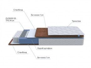 PROxSON Матрас Active F (Ткань Трикотаж Эко) 120x200 в Пуровске - purovsk.ok-mebel.com | фото 6