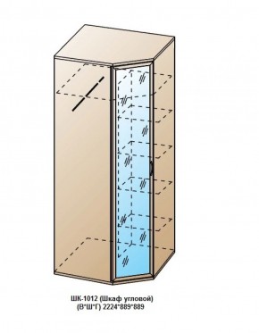 ШК-1012 (Шкаф угловой) в Пуровске - purovsk.ok-mebel.com | фото