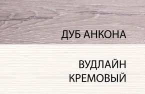 Шкаф 1DW, OLIVIA, цвет вудлайн крем/дуб анкона в Пуровске - purovsk.ok-mebel.com | фото 3