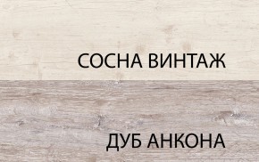 Шкаф 2D1S, MONAKO, цвет Сосна винтаж/дуб анкона в Пуровске - purovsk.ok-mebel.com | фото 1