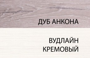 Шкаф 2DG, OLIVIA, цвет вудлайн крем/дуб анкона в Пуровске - purovsk.ok-mebel.com | фото 3