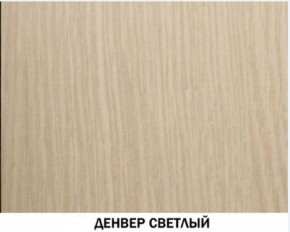 Шкаф для одежды №609 "Инна" Денвер светлый (*без полок) в Пуровске - purovsk.ok-mebel.com | фото 4