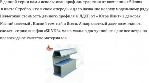 Шкаф-купе 1500 серии SILVER S1+S1+B2+PL2 (2 ящика+1 штанга+1 полка) профиль «Серебро» в Пуровске - purovsk.ok-mebel.com | фото 4