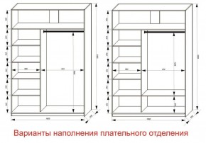 Шкаф-купе 1600 серии SOFT D1+D3+B2+PL1 (2 ящика+1штанга) профиль «Графит» в Пуровске - purovsk.ok-mebel.com | фото 6