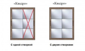 Шкаф-купе №19 Серия 3 Квадро (2000) Ясень Анкор светлый в Пуровске - purovsk.ok-mebel.com | фото 3